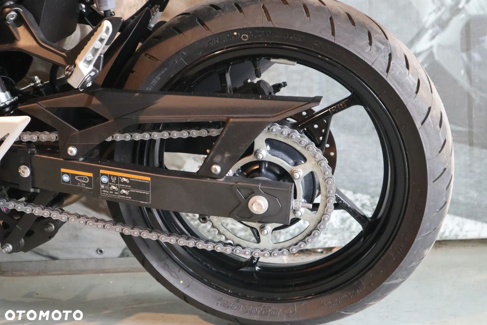 Kawasaki Ninja - 10