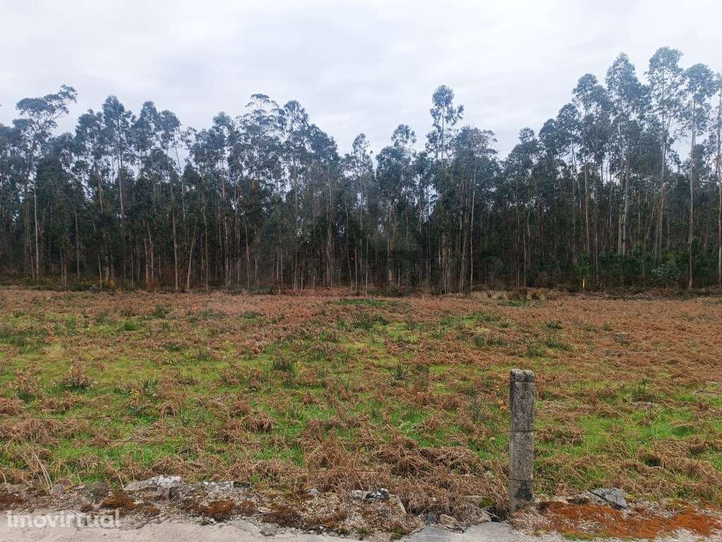 Terreno com uma área total de 10.796 m2 - Grande imagem: 5/5