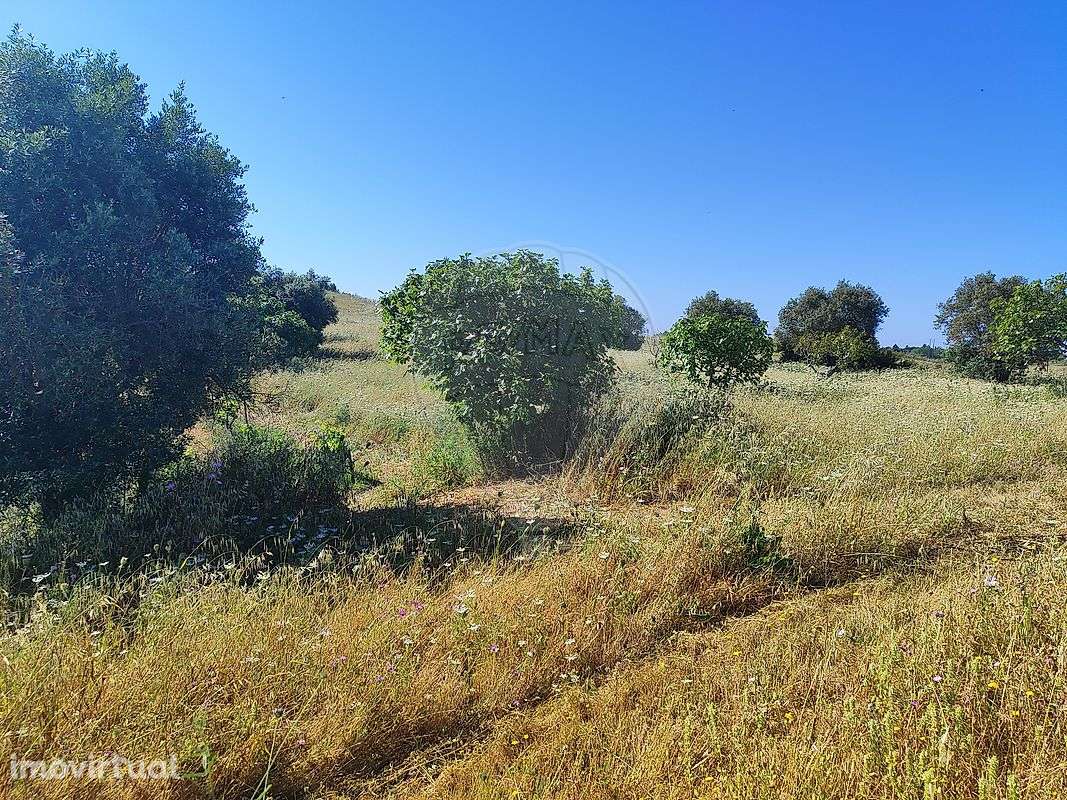 Terreno  para venda - Grande imagem: 4/5