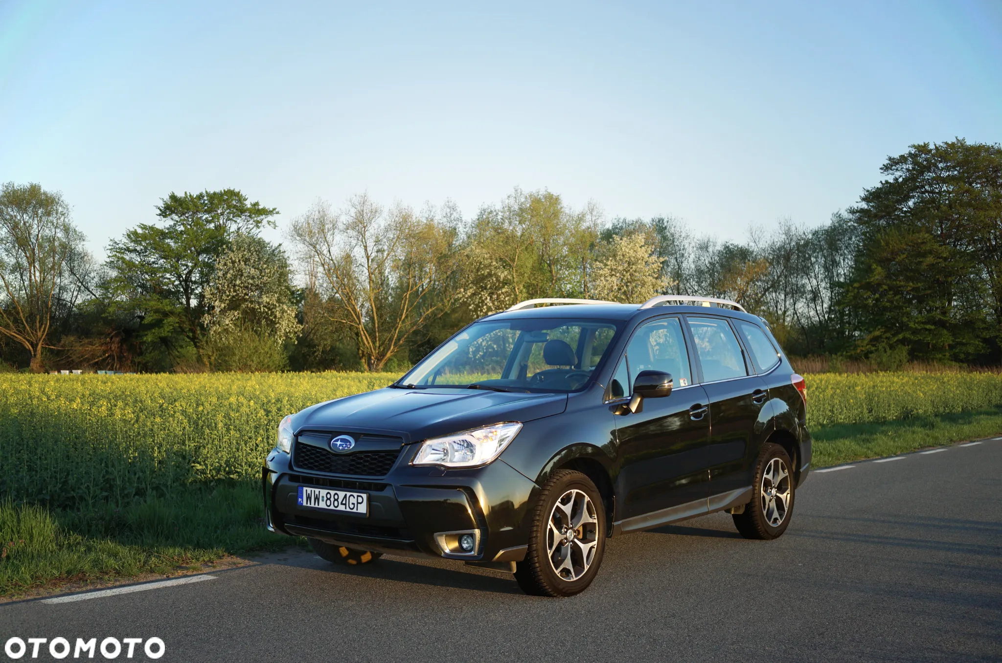 Subaru Forester 2.0XT Platinum Lineartronic - 7