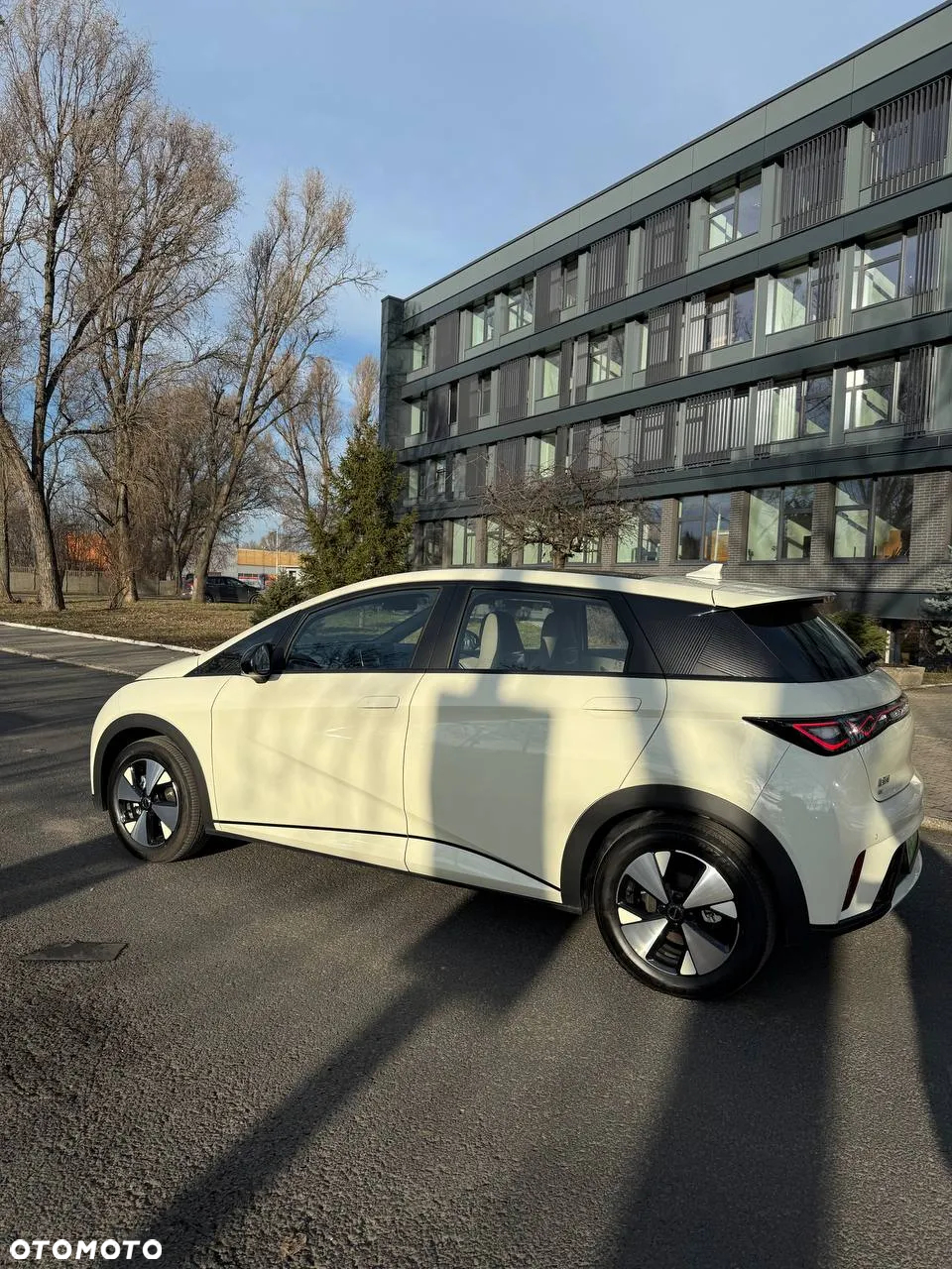 BYD Dolphin Active - 4