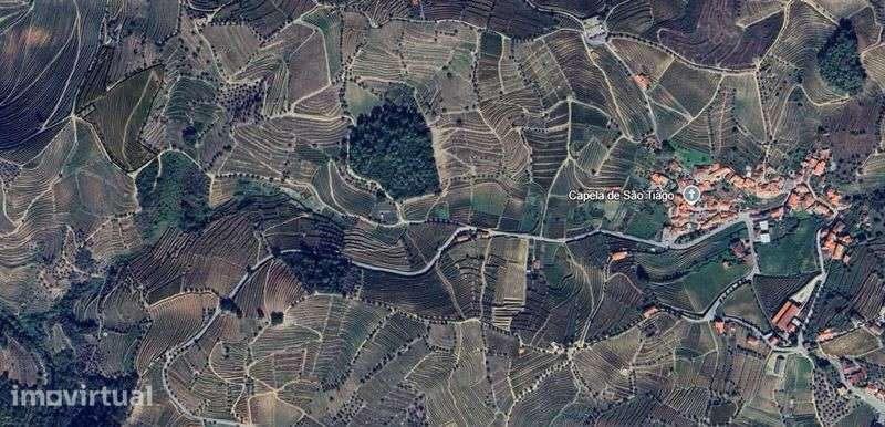 Vende-se terreno agrícola com vinha e benefício - Grande imagem: 2/7