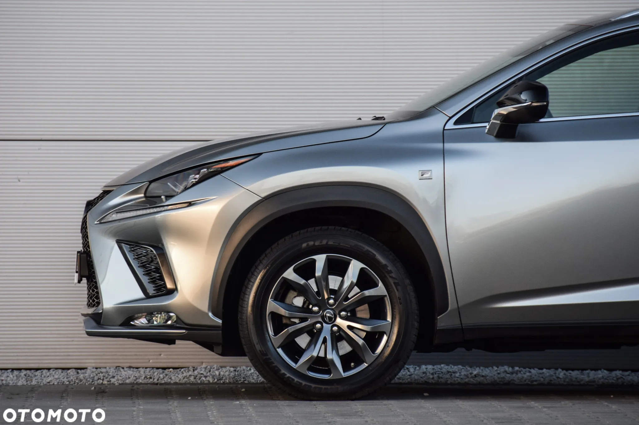Lexus NX 300h F Sport Edition AWD - 26