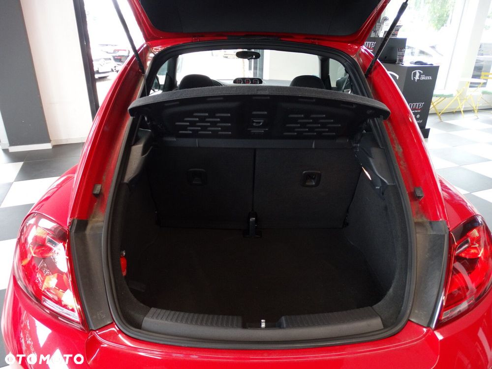 Volkswagen Beetle - 33