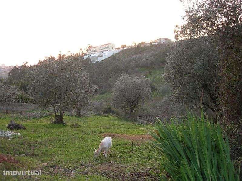 Vendo terreno urbano junto à Solum, Coimbra, para construção. - Grande imagem: 4/8