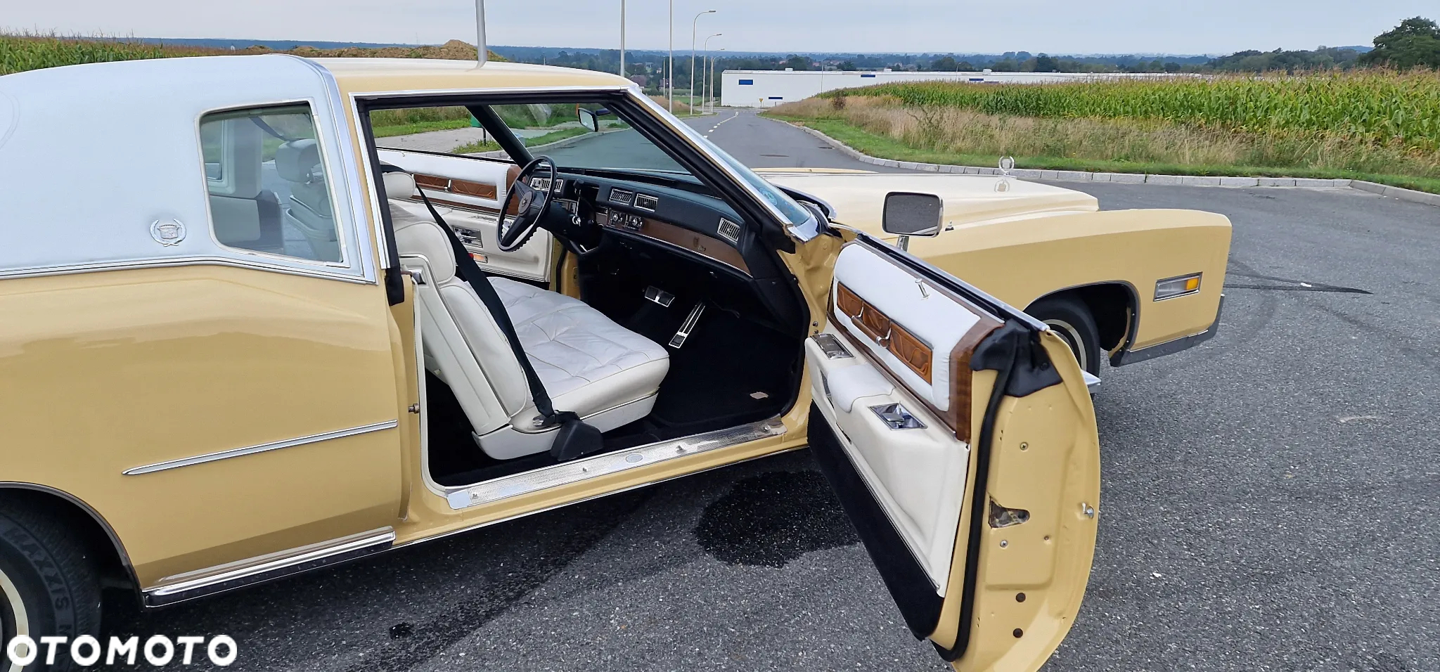 Cadillac Eldorado - 22