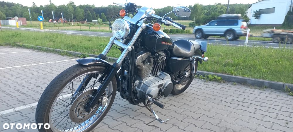 Harley-Davidson Sportster Custom 883C - 7