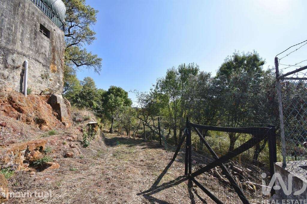 Quinta agricola T5 em São Miguel, Santa Eufémia e Rabaçal de 272 m2 - Grande imagem: 3/34