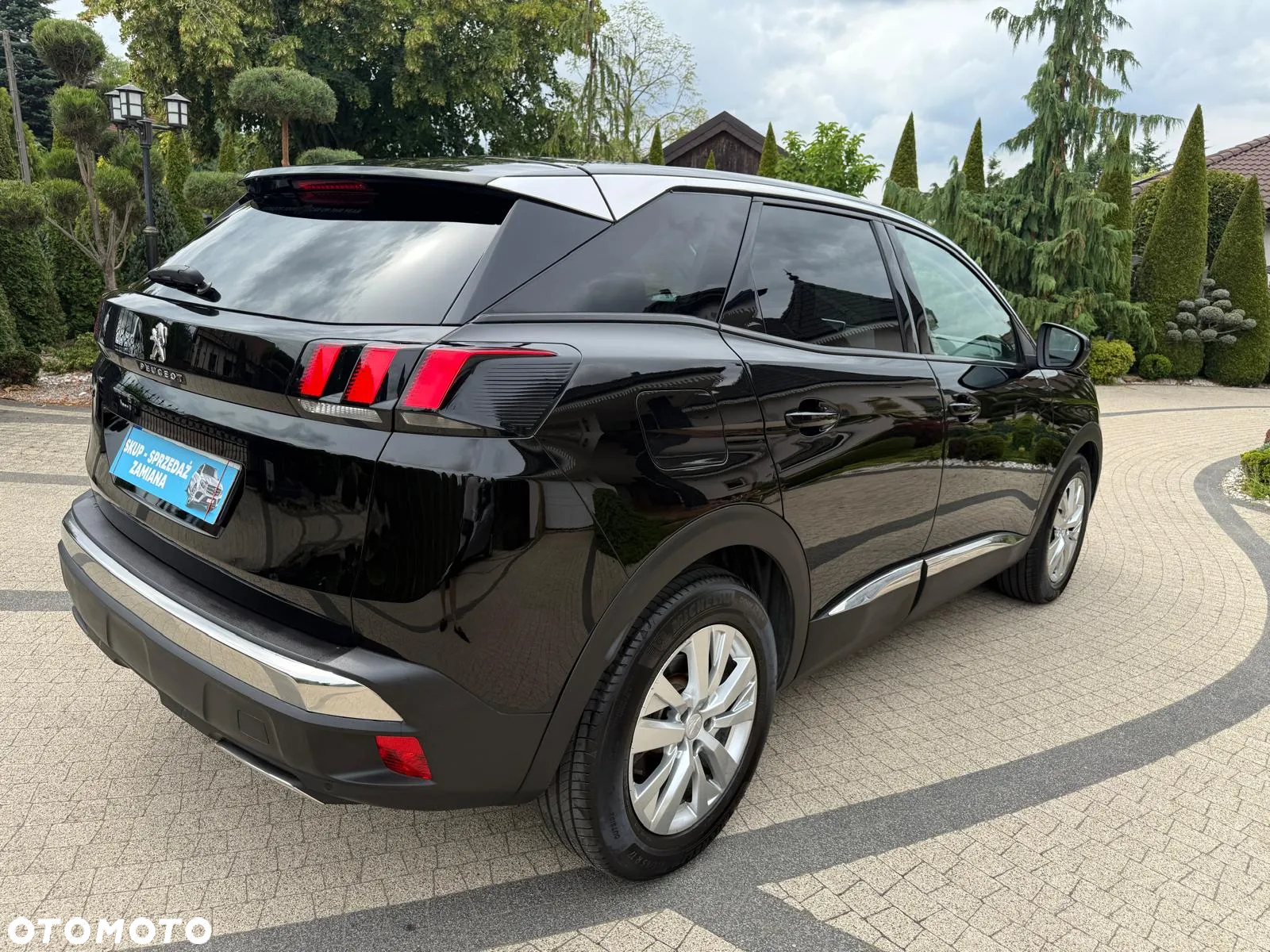 Peugeot 3008 1.5 BlueHDi Active Pack S&S - 12