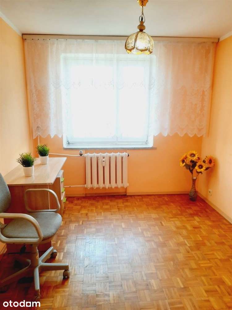 Tanio!!! 3Pok*63,1M2*Kleosin*Cegła ( 1998r.) - Pełny obrazek: 5/10