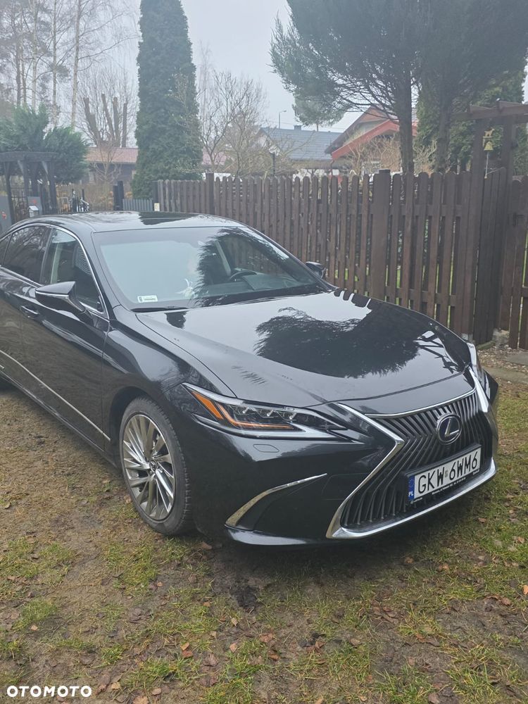 Lexus ES 300h Omotenashi - 11
