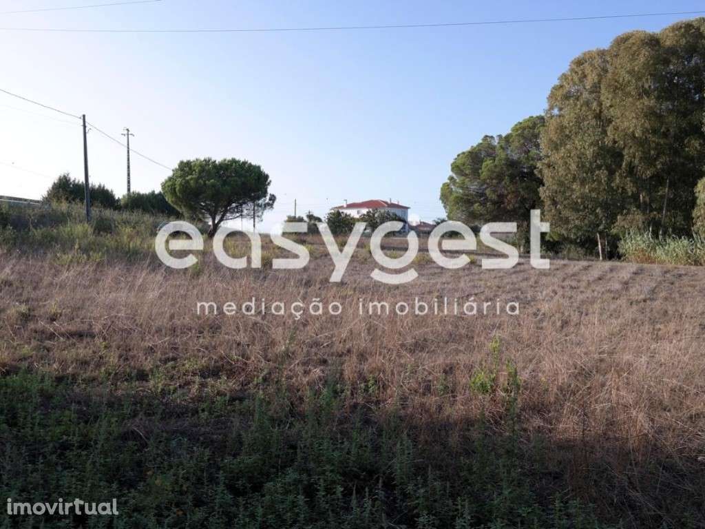 Terreno Construível de 2340m2 em Marrazes, Possibilidade de 3 Moradias - Grande imagem: 2/16