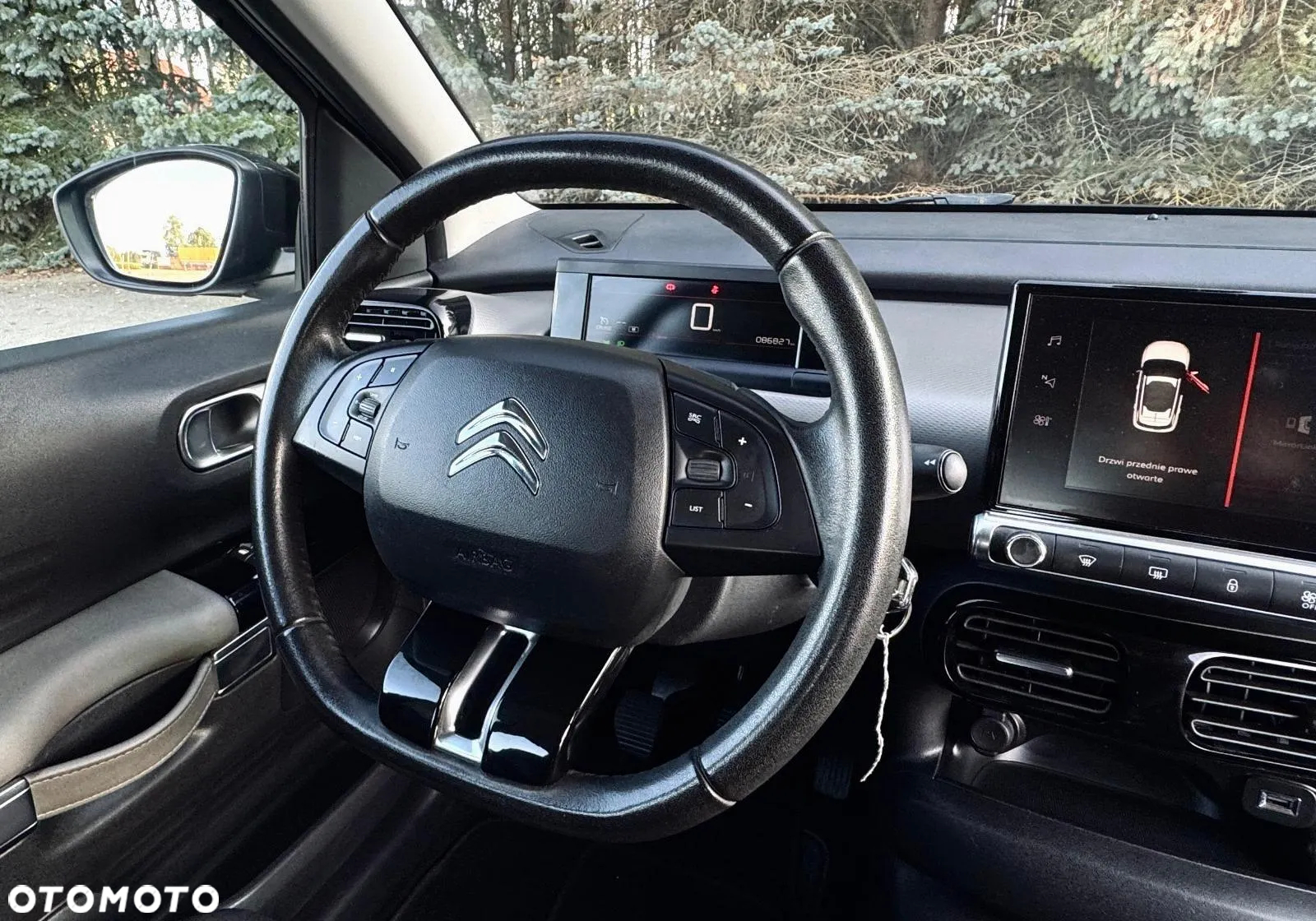 Citroën C4 Cactus - 28