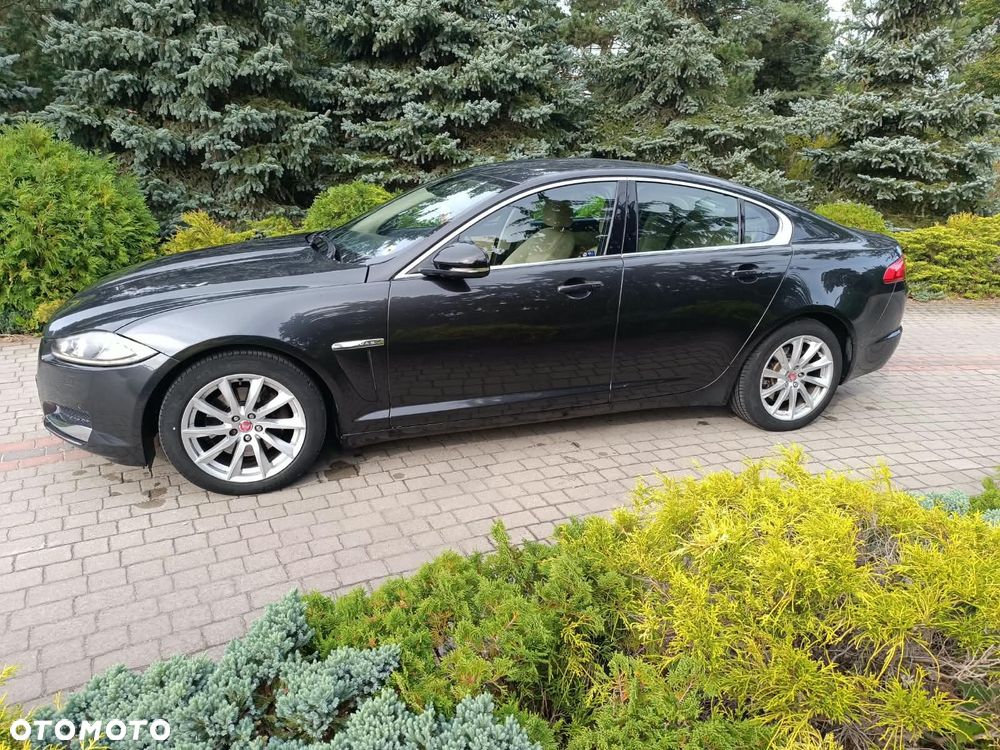 Jaguar XF 2.2 D Premium Luxury - 3