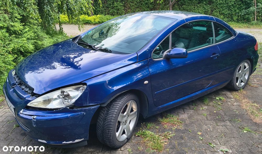 Peugeot 307 CC 2.0 - 10