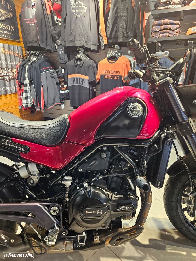 Benelli Leoncino Leoncino 500 - 7