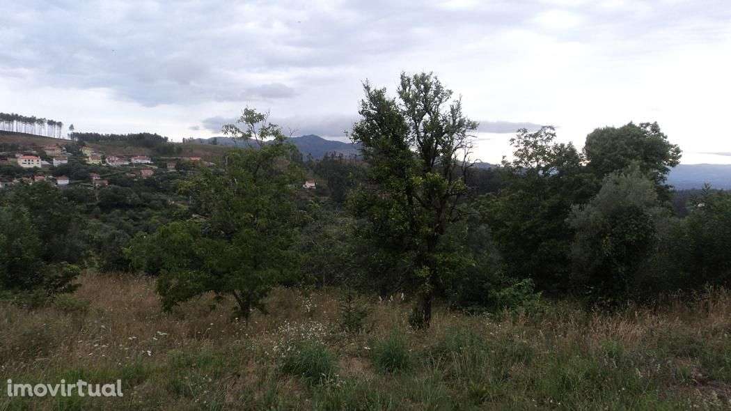 Quintinha com moradia em ruínas com 3.000m2 de terreno. - Grande imagem: 2/13