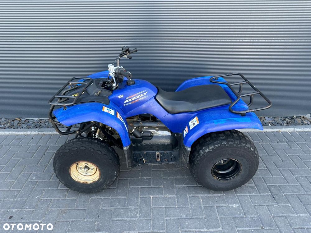 Yamaha Grizzly - 2