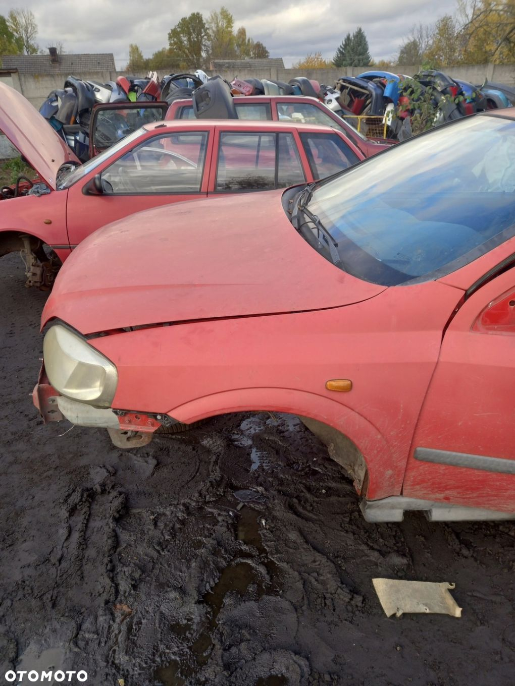 SZYBA Z Drzwi prawe przednie Opel astra G II 2001r Y 547 - 13
