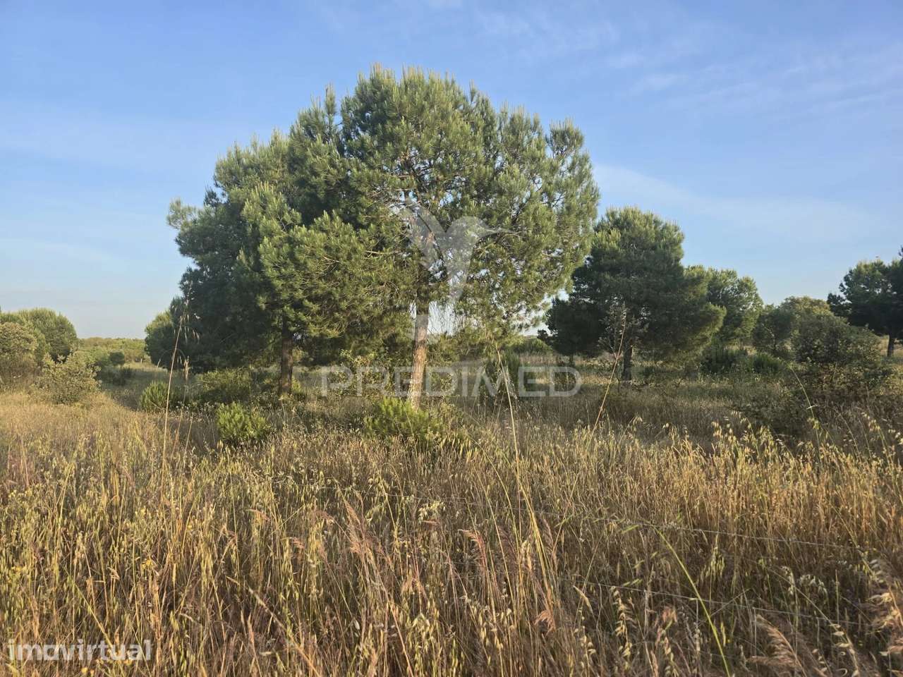 HERDADE COM 55,9 HECTARES E RUÍNA COM POTENCIAL TURÍSTICO NO CONCEL... - Grande imagem: 3/10