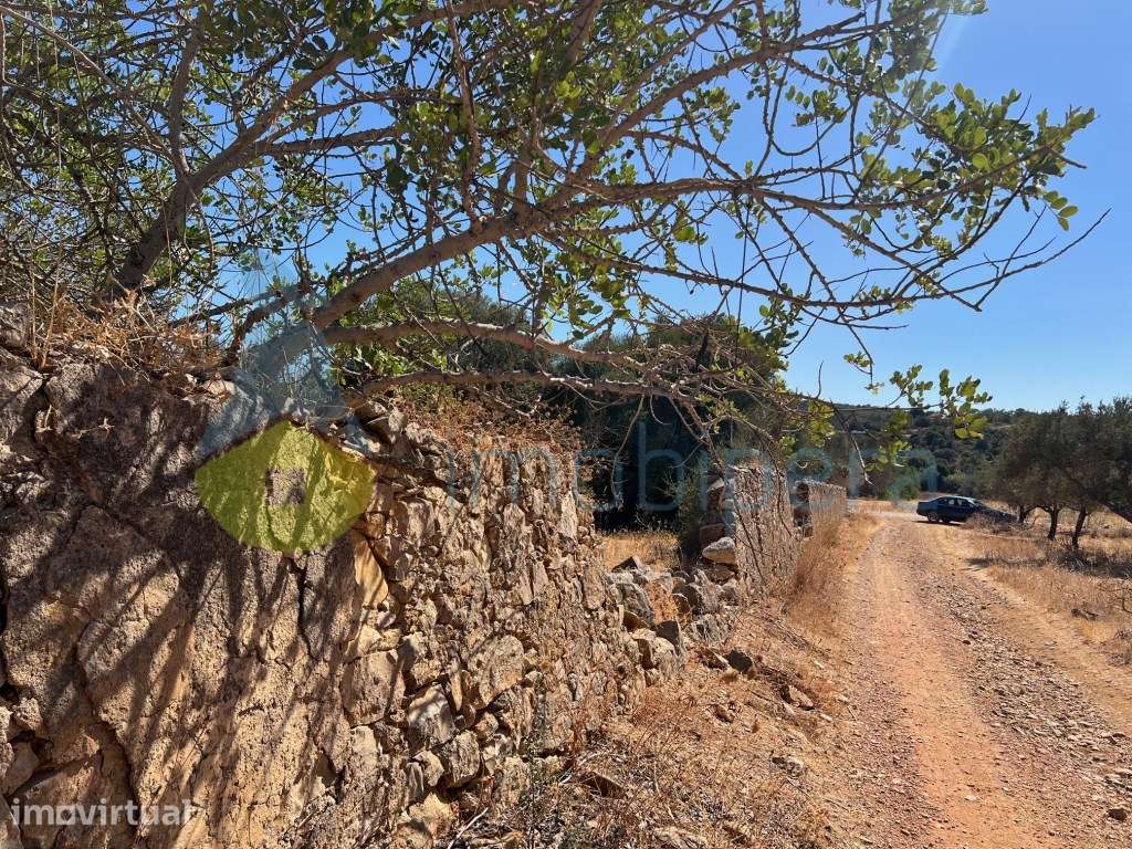 TERRENO MISTO COM RUÍNA E POÇO JUNTO À RIBEIRA DE PADERNE - Grande imagem: 5/26