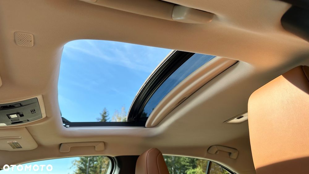 Lexus UX 250h GPF Prestige AWD - 16