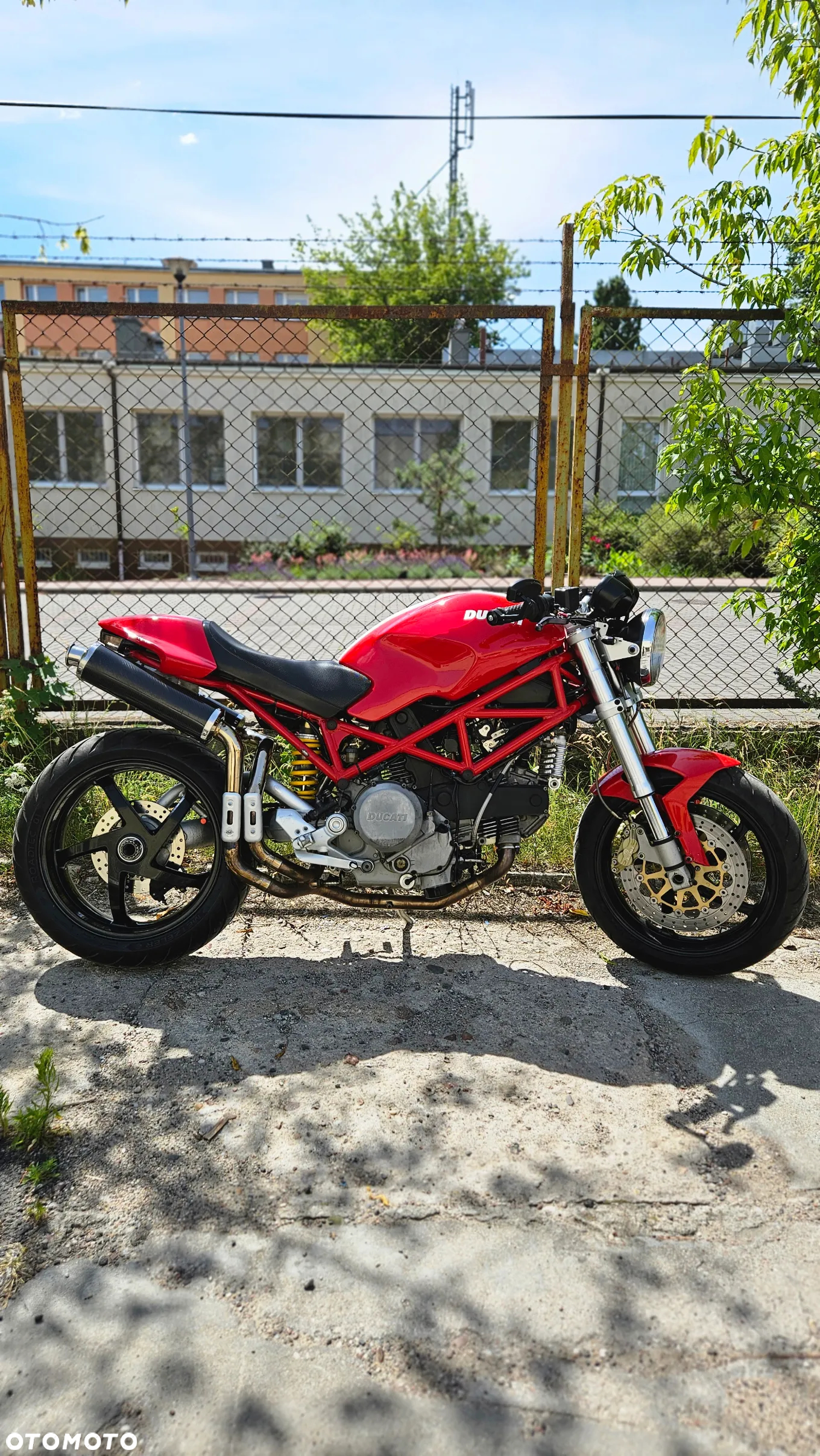Ducati Monster - 3
