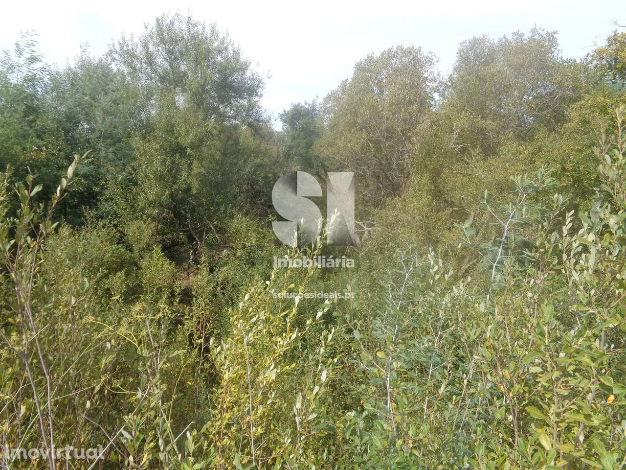 Terreno em Vila nova de poiares - Grande imagem: 2/16