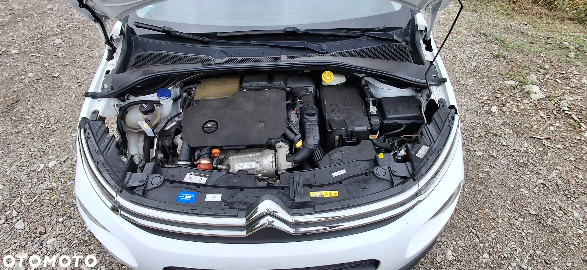 Citroën C3 1.5 BlueHDi Live - 21