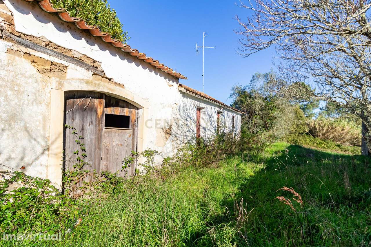 Moradia Térrea para Requalificação Total – Junqueira - Grande imagem: 2/4