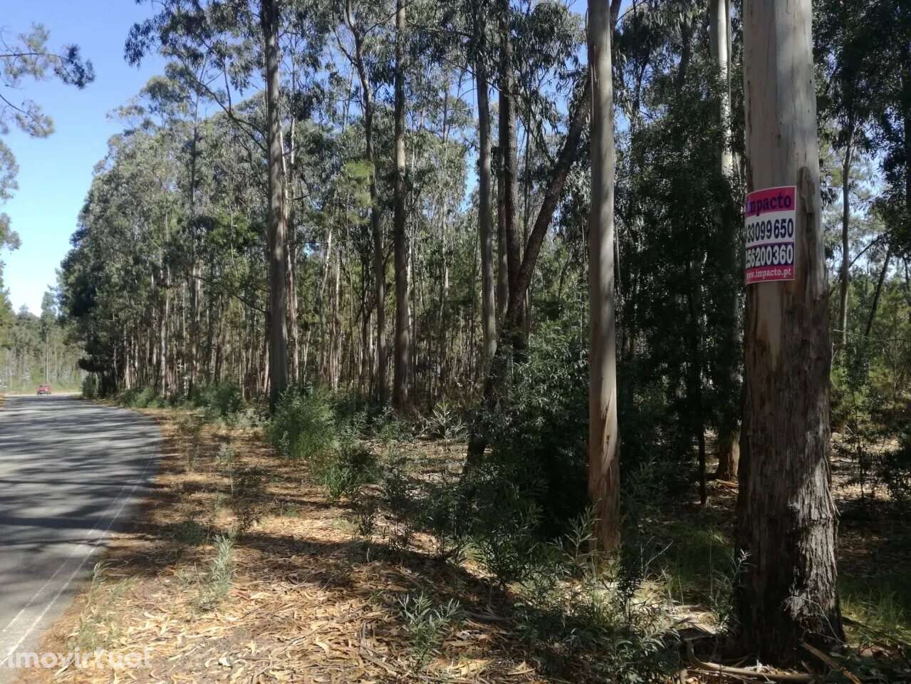 Terreno Rústico em Avanca, Aveiro - Grande imagem: 5/6