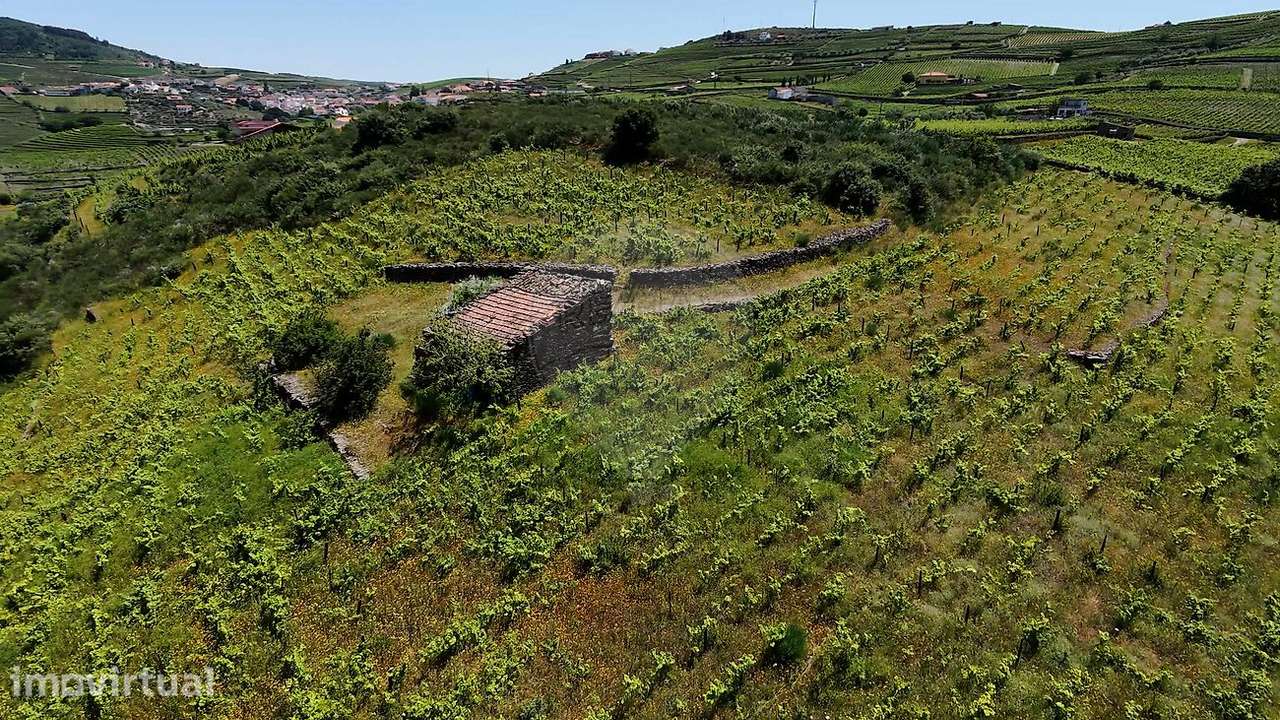 Terreno  para venda - Grande imagem: 5/14