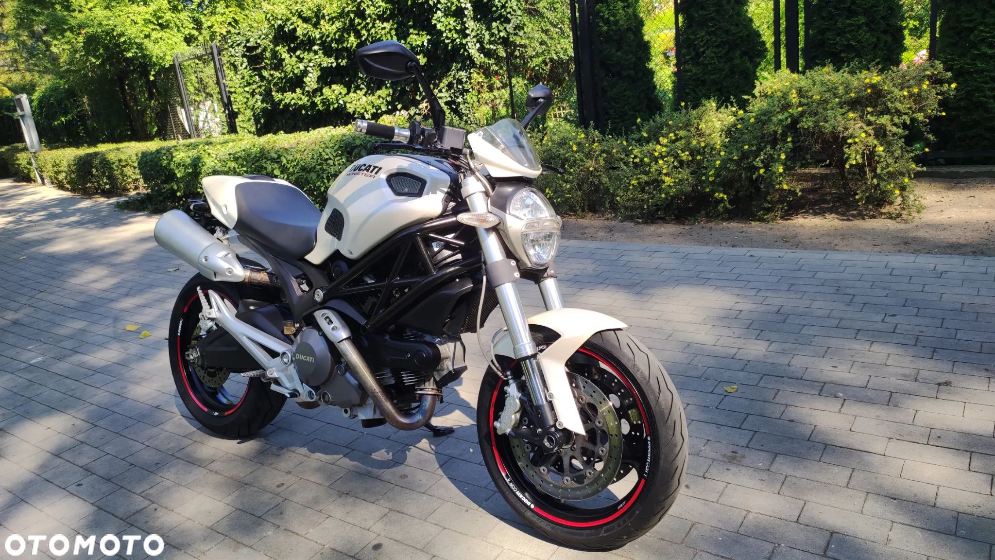 Ducati Monster - 1
