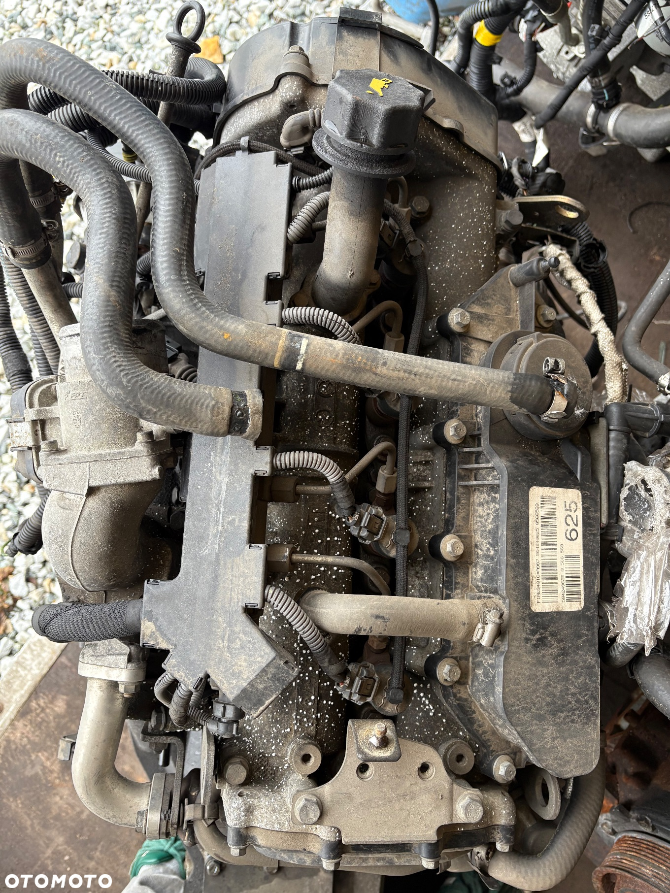 Iveco Daily kompletny silnik 2.3 euro 4 F1AE0481G - 3