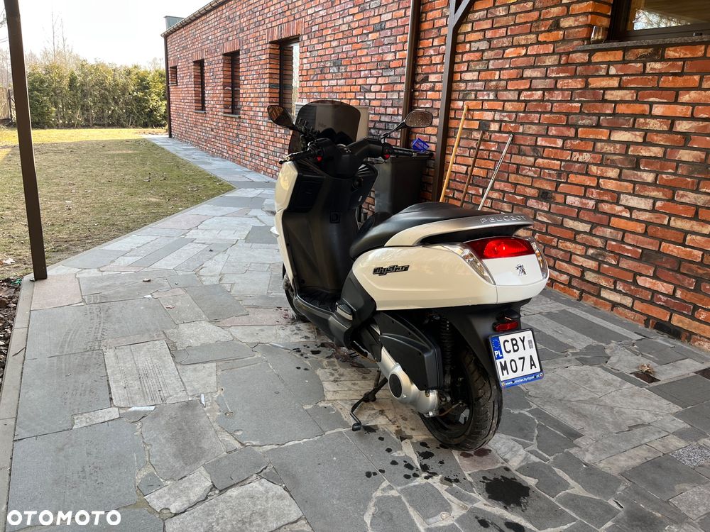 Peugeot Citystar - 9