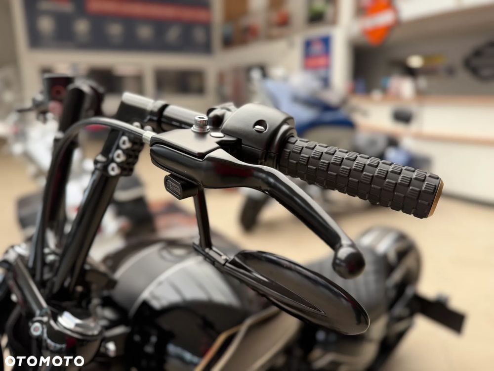 Harley-Davidson Softail - 28