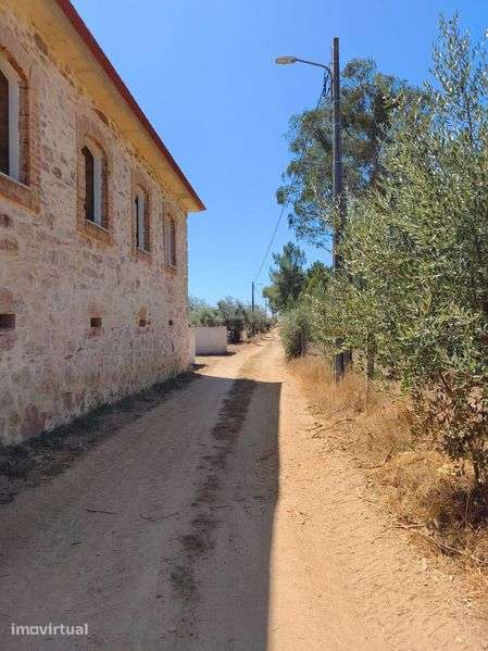Terreno Rústico com 5.551 m² em Ázere e Covelo (Tábua) – 5.500 € - Grande imagem: 2/12