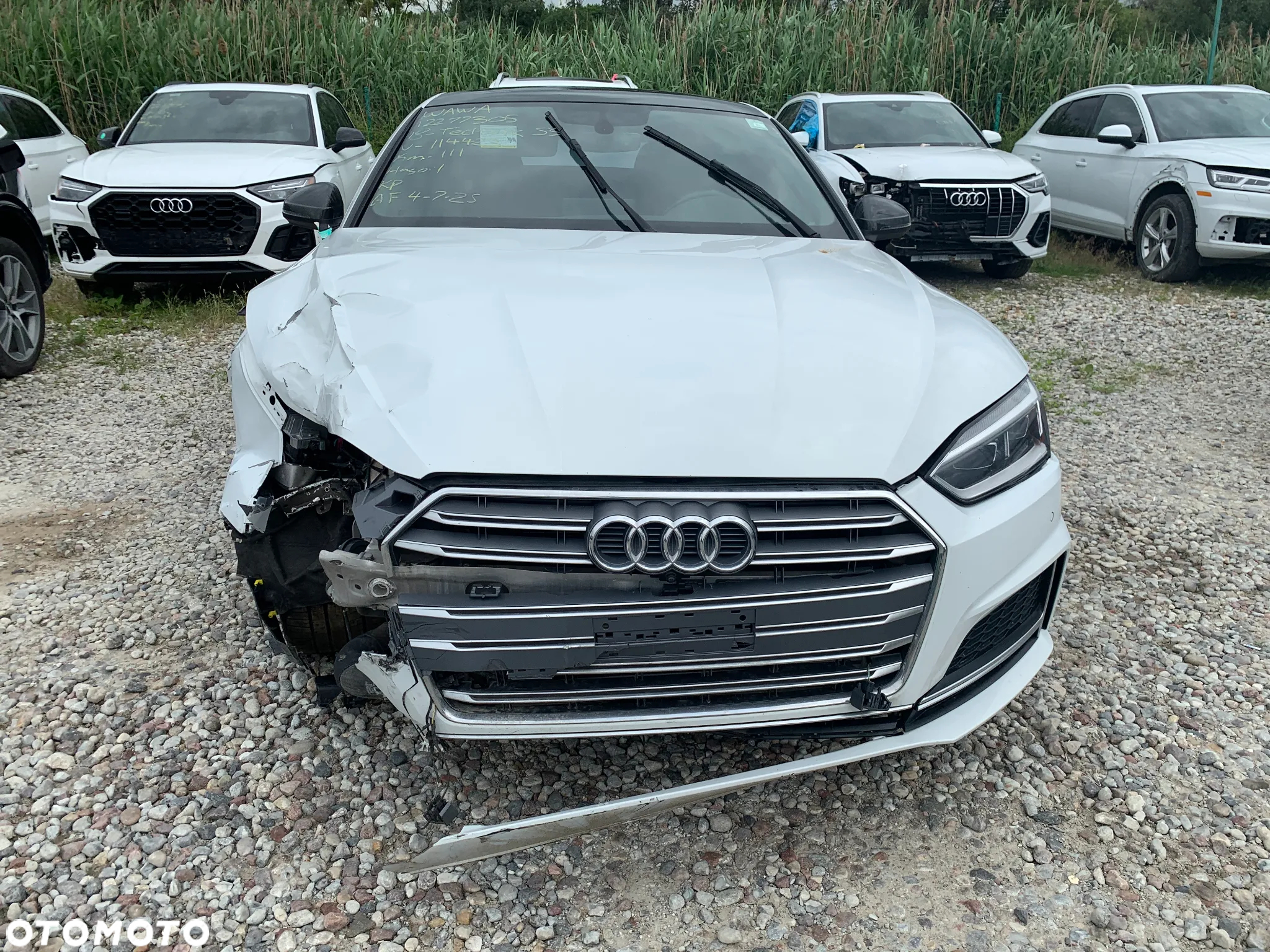 Audi S5 - 3