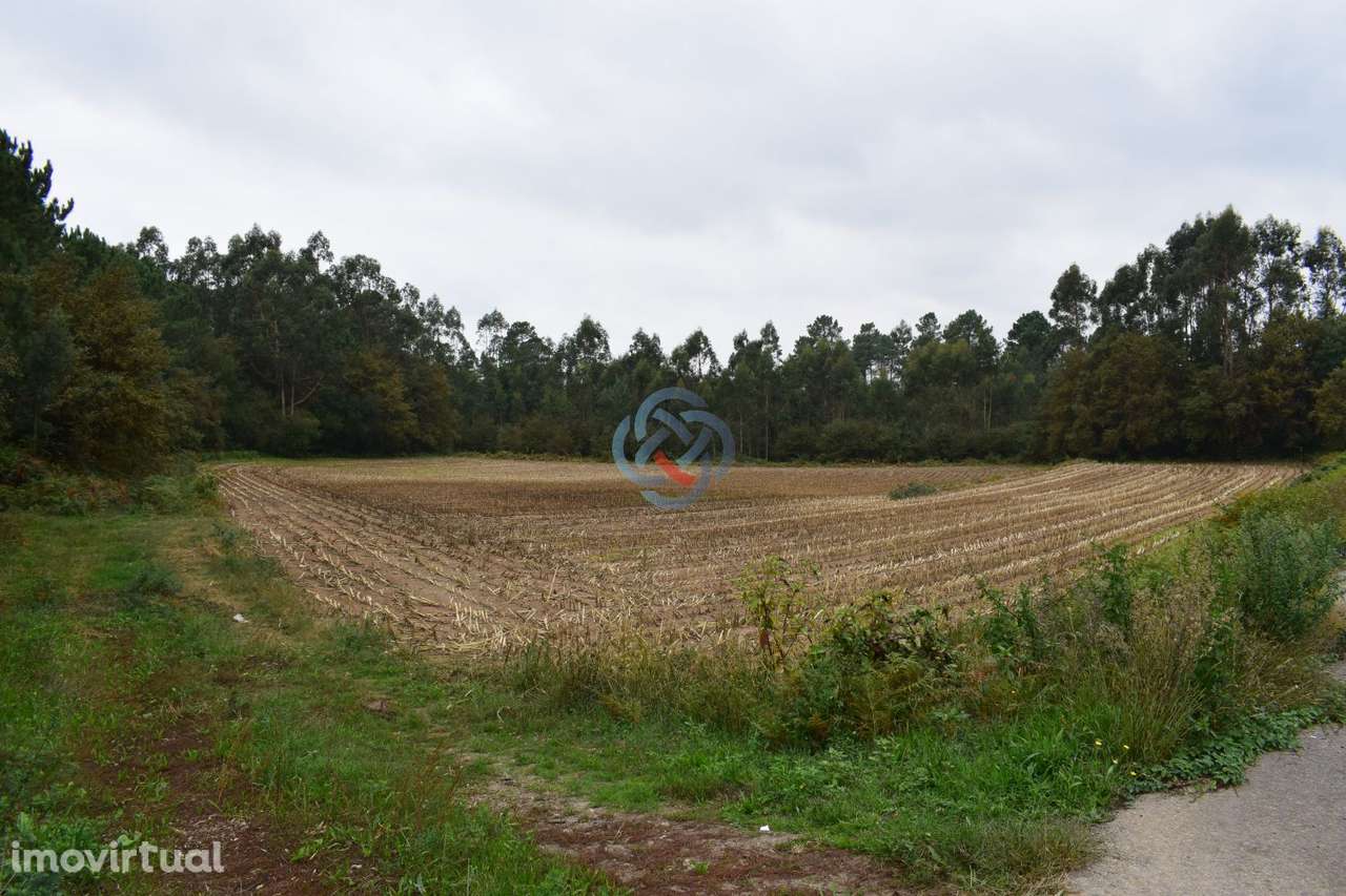 TERRENO URBANO COM PIP aprovado para CONSTRUÇÃO DE 3 Edifícios em A - Grande imagem: 3/7