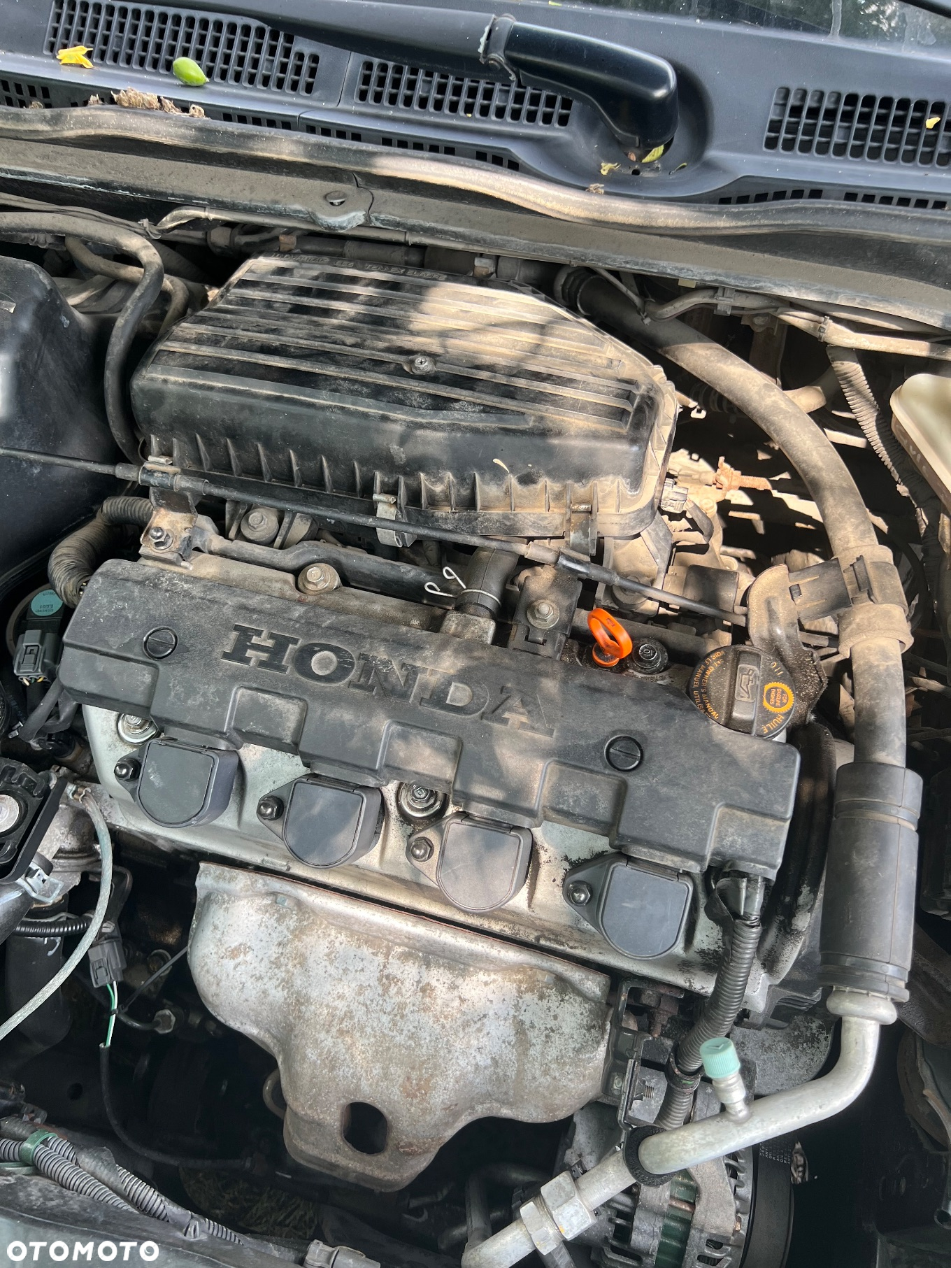Honda Civic - 32