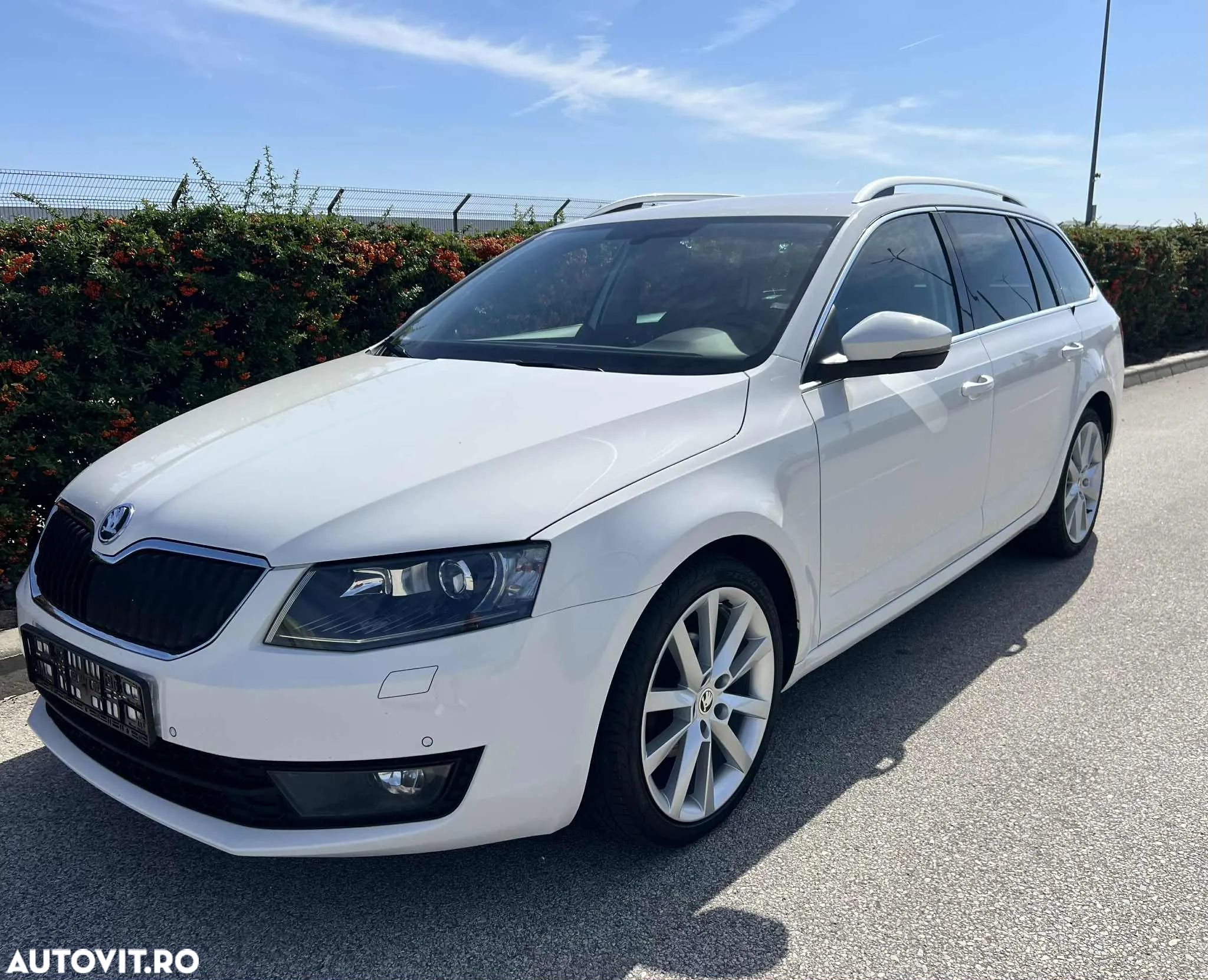 Skoda Octavia Combi 1.6 TDI Green tec Edition - 1