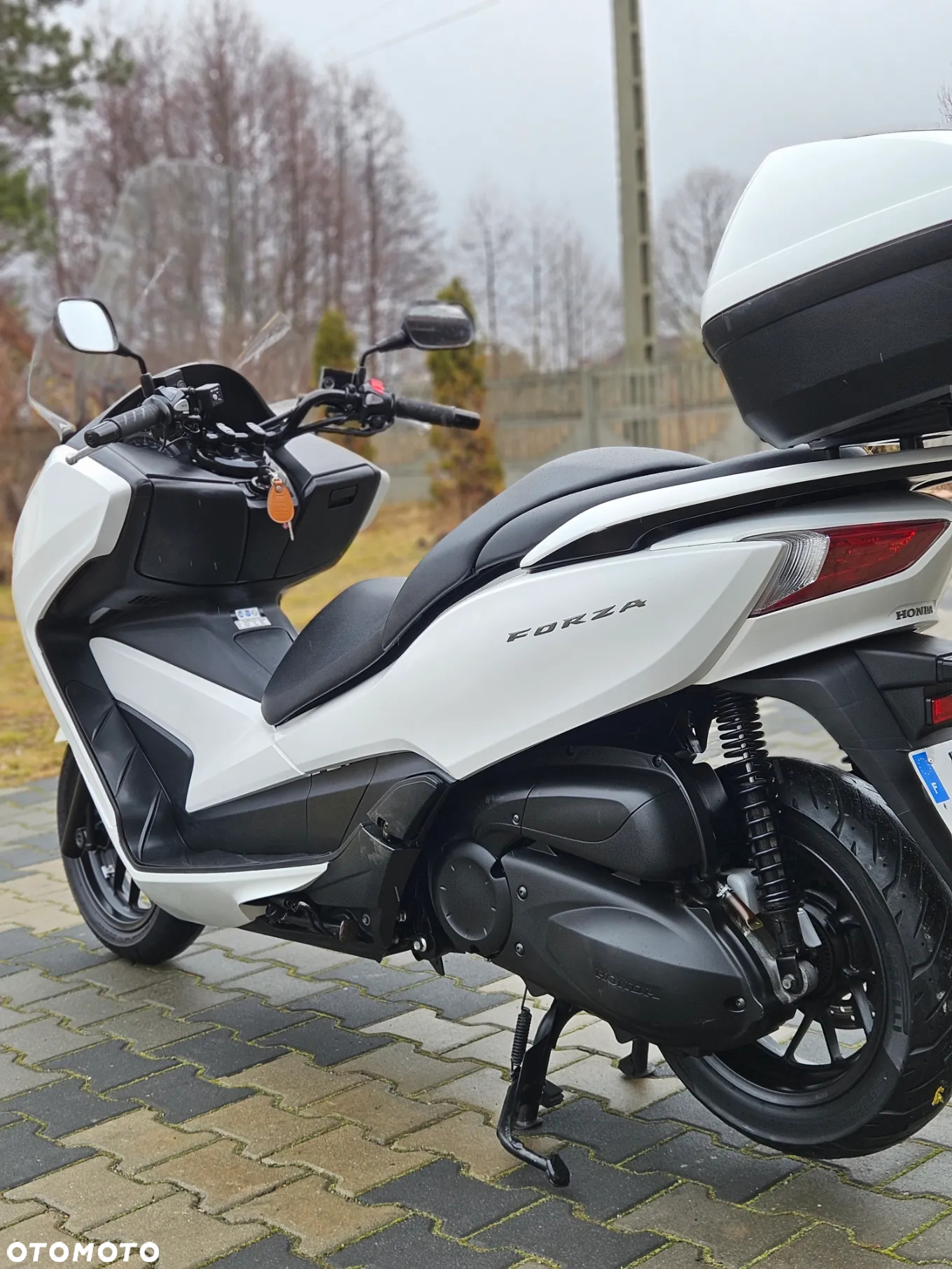 Honda NS - 12