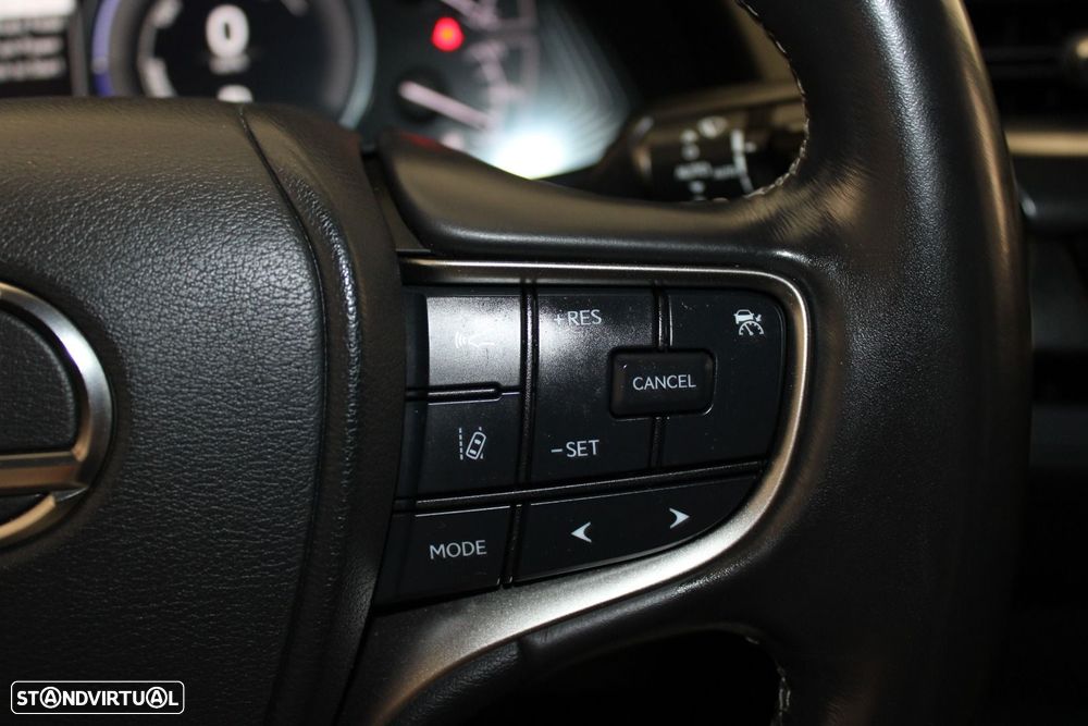 Lexus UX 250h Premium - 13