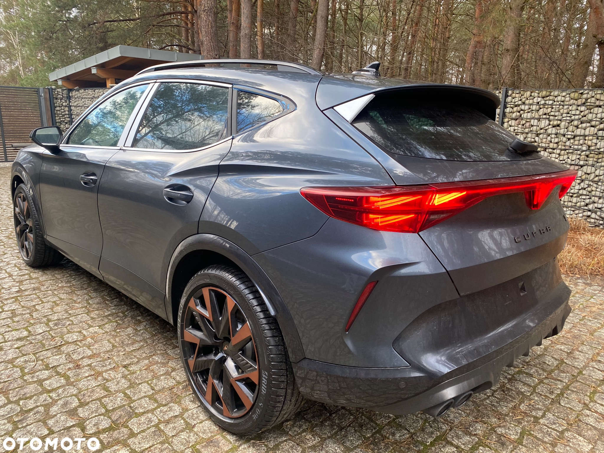 Cupra Formentor 2.0 TSI 4Drive VZ DSG - 24