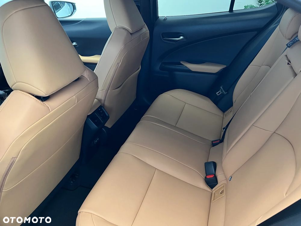 Lexus UX 300h F Sport Design - 20