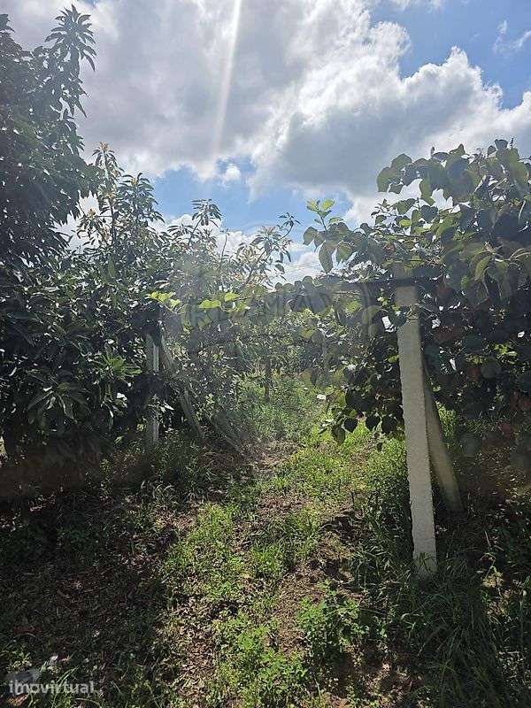 Terreno  para venda - Grande imagem: 3/6