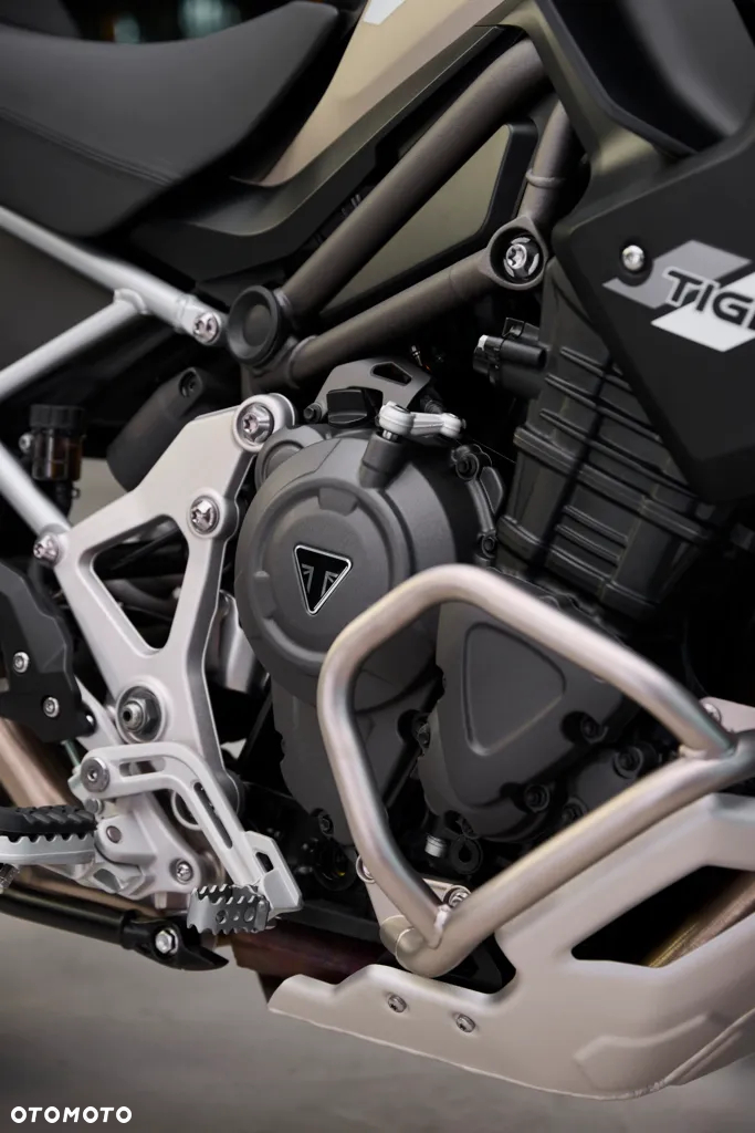 Triumph Tiger - 14