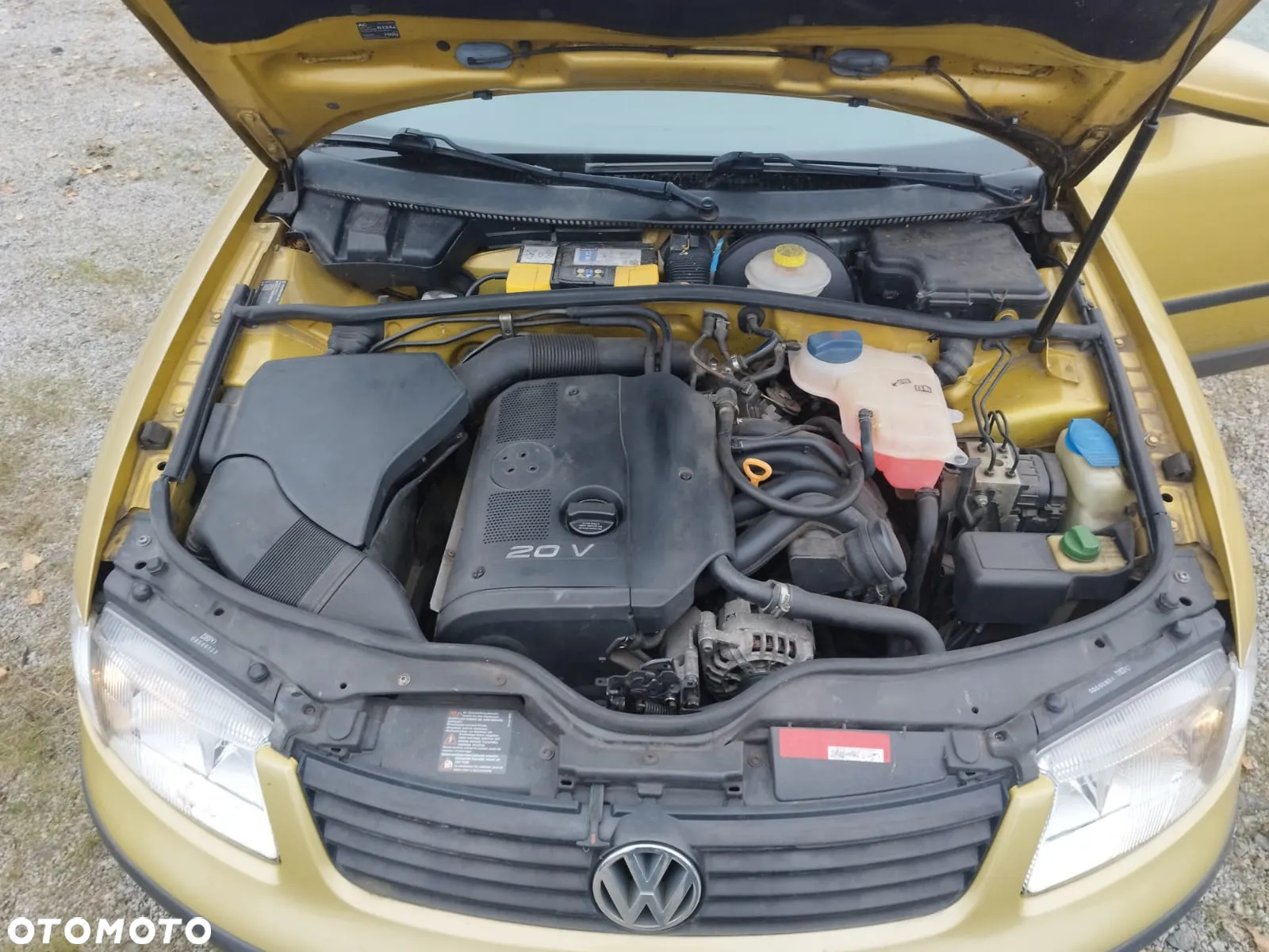 Volkswagen Passat - 12