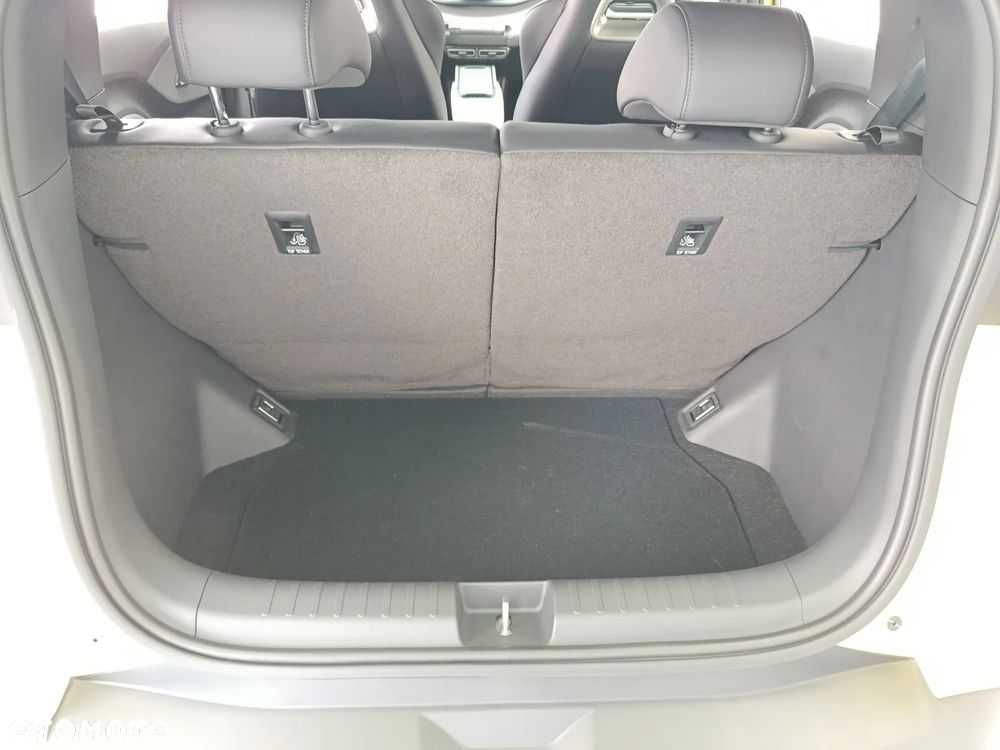 BYD Dolphin Surf - 18