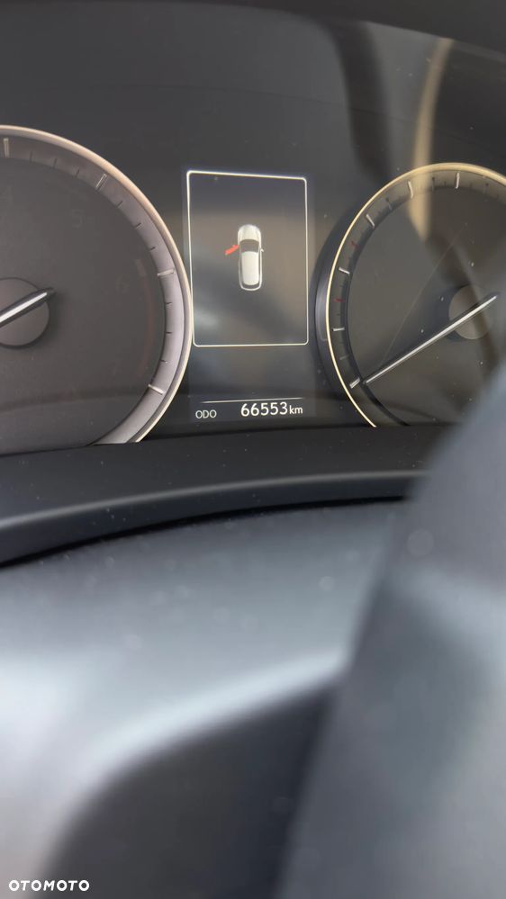 Lexus RX 450h F-Impression - 3